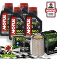 TAGLIANDO 4L MOTUL 5000 10W40 + FILTRI HIFLO HONDA CB 600 S Hornet 2002