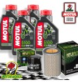 TAGLIANDO 4L MOTUL 5100 15W50 + FILTRI HIFLO HONDA CB 600 S HORNET 2002