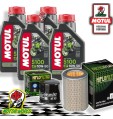 TAGLIANDO 4L MOTUL 5100 10W50 + FILTRI HIFLO HONDA CB 600 S HORNET 2002