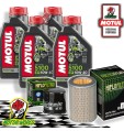 TAGLIANDO 4L MOTUL 5100 10W40 + FILTRI HIFLO HONDA CB 600 S HORNET 2002