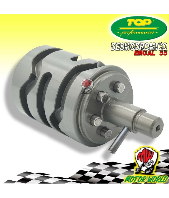9920020 DESMODROMICO SELETTORE CAMBIO AM6 ERGAL TOP APRILIA RX ENDURO 50 2T 2003