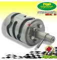 DESMODROMICO SELETTORE CAMBIO AM6 ERGAL TOP PEUGEOT XR6 RACING 50 2T 2002