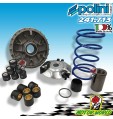 241.713 VARIATORE POLINI HI-SPEED MOTORE LEADER ITALJET TORPEDO 125 - 150