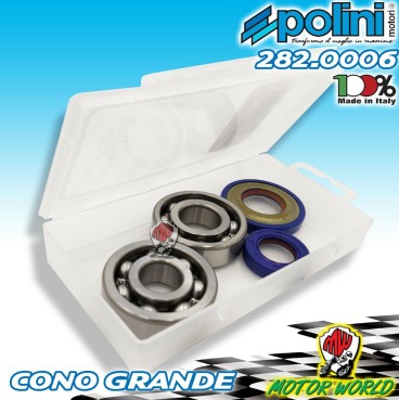 282.0006 CUSCINETTI ALTA VELOCITA + PARAOLI POLINI PIAGGIO APE 50 FL FL2 FL3