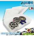 282.0006 CUSCINETTI ALTA VELOCITA + PARAOLI POLINI PIAGGIO APE 50 FL FL2 FL3