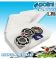 282.0005 KIT CUSCINETTI PARAOLI ALBERO POLINI PIAGGIO VESPA 50 2T XL CONO 19