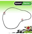 GUARNIZIONE LATERALE FILTRO ARIA ORIGINALE KAWASAKI NINJA ZX-6RR 636 2003 2004