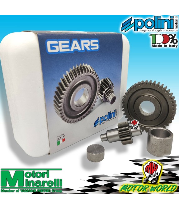 202.1321 INGRANAGGI SECONDARI POLINI Z 14/41 YAMAHA SLIDER 50