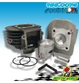 166.0074 GRUPPO TERMICO CILINDRO POLINI ITALJET SCOOP 2/3