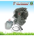 KIT GRUPPO TERMICO PER MOTOSEGA DA POTATURA 25 CC 2500 POTA PICCOLA