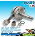 ALBERO MOTORE RACING LAMELLARE SPALLE PIENE POLINI CONO 20 PIAGGIO APE RST MIX