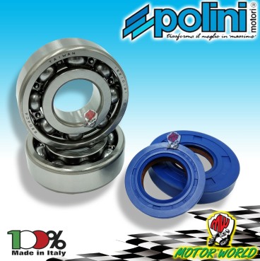 KIT CUSCINETTI REVISIONE ALBERO MOTORE POLINI HM DERAPAGE 2011 2012