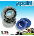 KIT CUSCINETTI REVISIONE ALBERO MOTORE POLINI HM DERAPAGE 2011 2012