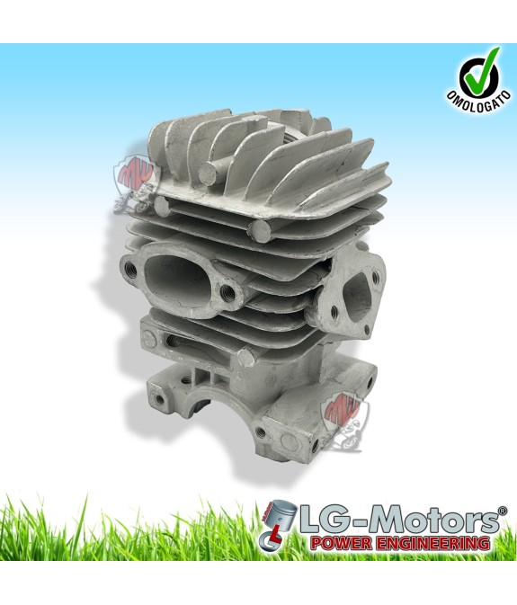 KIT GRUPPO TERMICO PER MOTOSEGA DA POTATURA 25 CC 2500 POTA PICCOLA