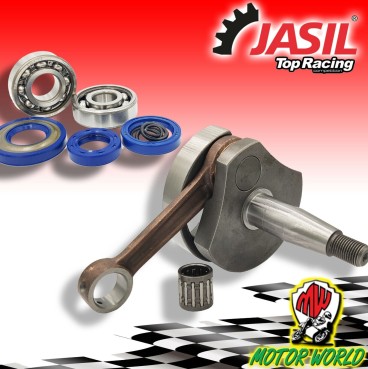 403301050 ALBERO MOTORE JASIL CONO 20 CUSCINETTI PIAGGIO VESPA 50 R