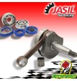 403301050 ALBERO MOTORE JASIL CONO 20 CUSCINETTI PIAGGIO VESPA 50 R