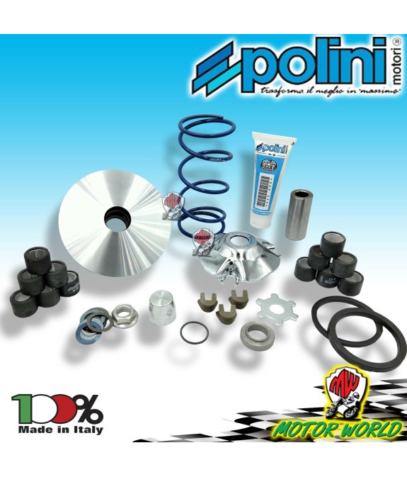 VARIATORE POLINI HI-SPEED D.13 evolution 2 YAMAHA YE 50 ZEST (CY)