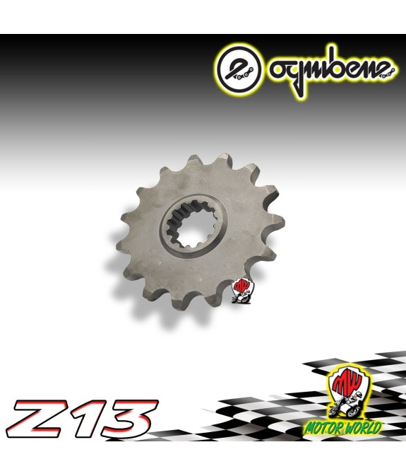 PIGNONE IN ACCIAIO OGNIBENE 13 DENTI GAS GAS EC 300 Racing 2013 2014 2015