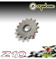 PIGNONE IN ACCIAIO OGNIBENE 10 DENTI  YAMAHA TZR 50 RR 2003 2004 2005 2006
