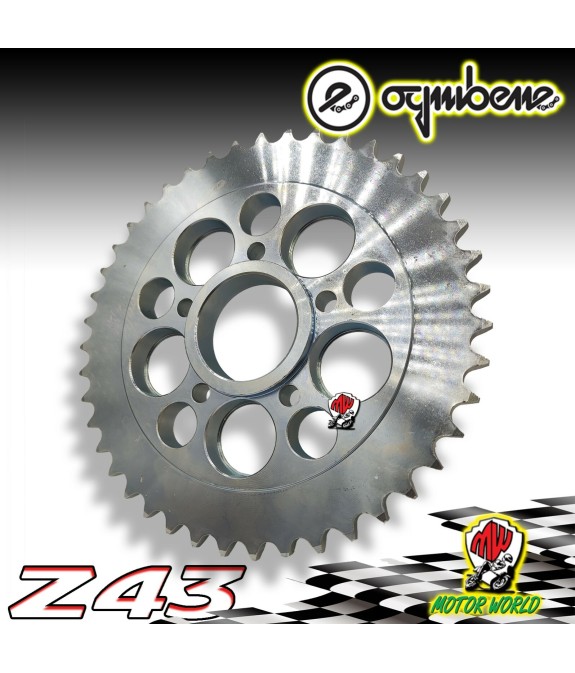 CORONA IN ACCIAIO CON PORTAMOZZO OGNIBENE 43 DENTI DUCATI MONSTER 1100 ABS