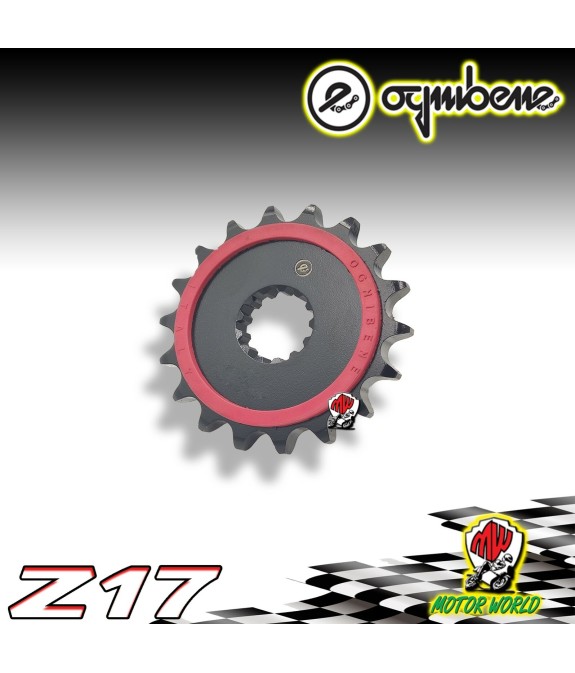 0248 PIGNONE IN ACCIAIO SILENT OGNIBENE 17 DENTI HONDA CBR 1100 XX Superblackbir