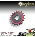 0248 PIGNONE IN ACCIAIO SILENT OGNIBENE 17 DENTI HONDA CBR 1100 XX Superblackbir