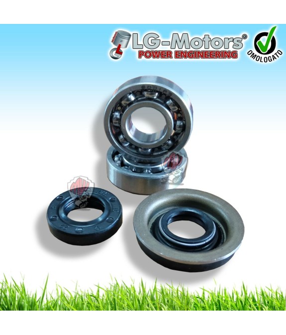 KIT CUSCINETTI PARAOLI DI BANCO MOTOSEGA DA 25 CC 2500 PICCOLA POTATURA