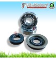 KIT CUSCINETTI PARAOLI DI BANCO MOTOSEGA DA 25 CC 2500 PICCOLA POTATURA