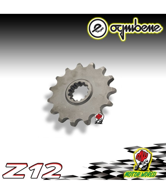 PIGNONE IN ACCIAIO OGNIBENE 12 DENTI BETA RR 50 BETA RR 50 Enduro 2001