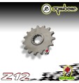 PIGNONE IN ACCIAIO OGNIBENE 12 DENTI BETA RR 50 BETA RR 50 Enduro 2001