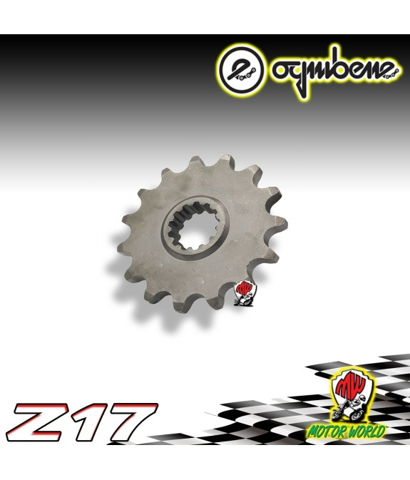 7282 PIGNONE IN ACCIAIO OGNIBENE 17 DENTI SUZUKI GSX-R 1000 A - R 2018 2019 2020