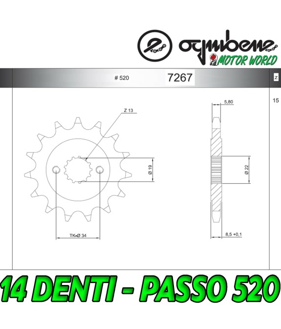 7267 PIGNONE IN ACCIAIO OGNIBENE 14 DENTI