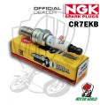 CANDELA SPARK PLUG NGK CR7EKB  PIAGGIO MP3 RST 400 2007 IN POI