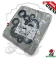 SERIE COMPLETA PARAOLI MOTORE ATHENA HONDA CRM X IE 290 cc 2007