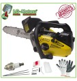 KIT MOTOSEGA DA POTATURA 25 CC CON GUANTI CANDELA CHIAVI GARANZIA 2 ANNI