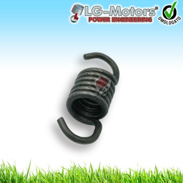 Molla Frizione Per Vari 23CC 26CC Tagliasiepi Decespugliatore Nuovo