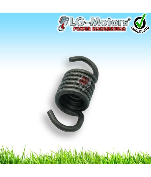 Molla Frizione Per Vari 23CC 26CC Tagliasiepi Decespugliatore Nuovo