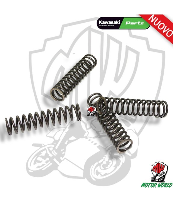 KIT 4 MOLLE PER FRIZIONE ORIGINALI KAWASAKI Z 800 Z800 / E 2013 2014 2015 2016