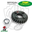 INGRANAGGIO SESTA MARCIA 6A VELOCITA TOP Z-26 RIEJU SMX PRO 50 2T 2003