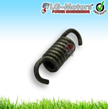 Molla frizione decespugliatore 43cc 52cc 53cc