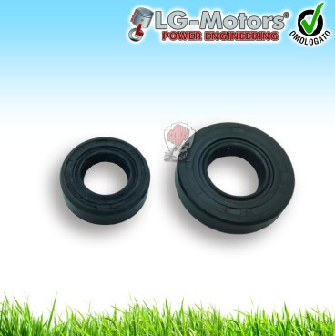 COPPIA PARAOLIO DI BANCO VOLANO FRIZIONE DECESPUGLIATORE A SCOPPIO 45 52 CC