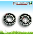 COPPIA CUSCINETTI CUSCINETTO BANCO MOTORE DECESPUGLIATORE A SCOPPIO 35 X15 X 11