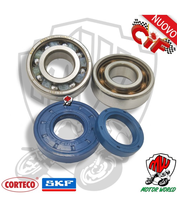 16186-KTC4 KIT CUSCINETTI BANCO SKF C4 TN9 + PARAOLI MOTORI MINARELLI ORIZZ VERT