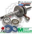 ALBERO MOTORE SPALLE PIENE SPORT MINARELLI VERTICALE YAMAHA MBK