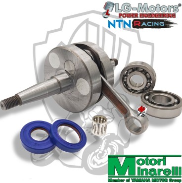 ALBERO MOTORE SPALLE PIENE CON CUSCINETTI E PARAOLI MALAGUTI XTM 50 2T LC AM6