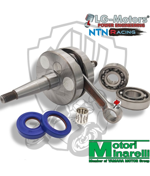 ALBERO MOTORE SPALLE PIENE CON CUSCINETTI E PARAOLI MALAGUTI XTM 50 2T LC AM6