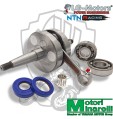 ALBERO MOTORE SPALLE PIENE CON CUSCINETTI E PARAOLI MALAGUTI XTM 50 2T LC AM6