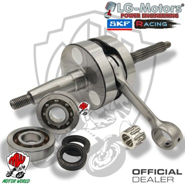 KIT ALBERO MOTORE + CUSCINETTI SKF E PARAOLI PIAGGIO  ZIP 50 SP H2O 