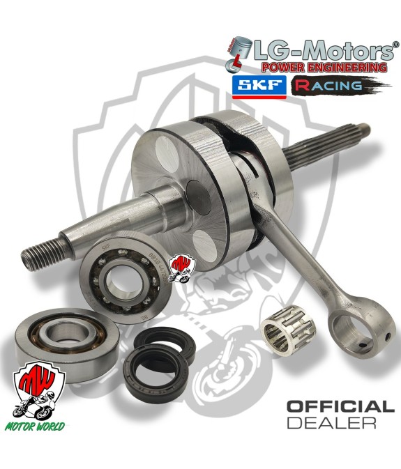 KIT ALBERO MOTORE + CUSCINETTI SKF E PARAOLI PIAGGIO  ZIP 50 SP H2O 