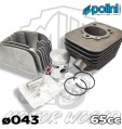 KIT CILINDRO CON TESTATA140.0065 POLINI D.43 SP12 Piaggio BRAVO ERRE 2